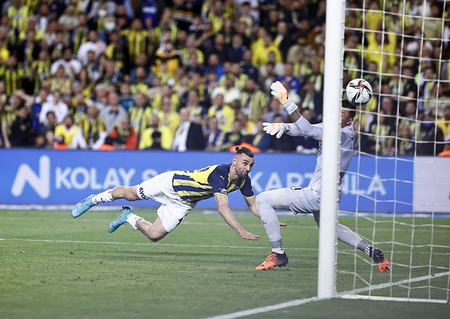 许多杰出的 许多杰出的