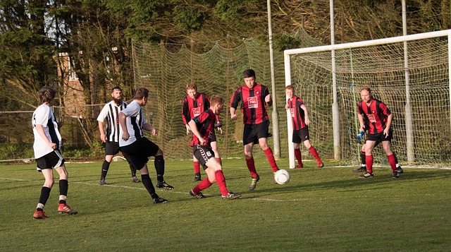 争顶尖的状 争顶尖的状