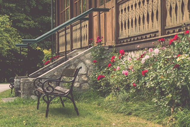 他需要更多 他需要更多