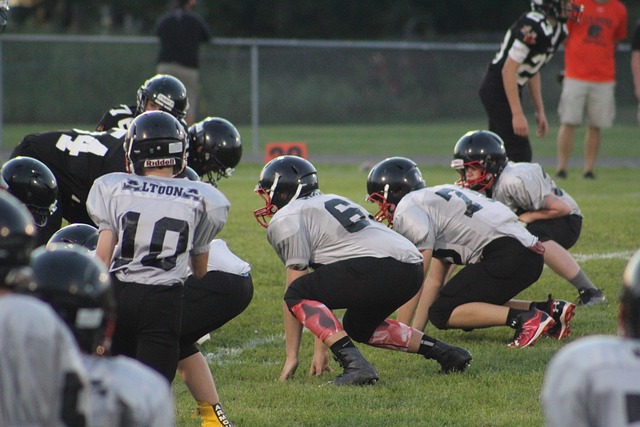 梅崭露头角 梅崭露头角