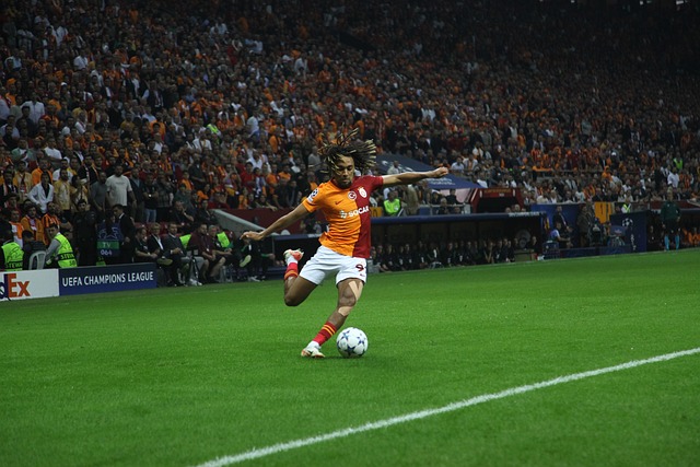 意味着什么 意味着什么