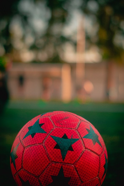 赛的过往案 赛的过往案