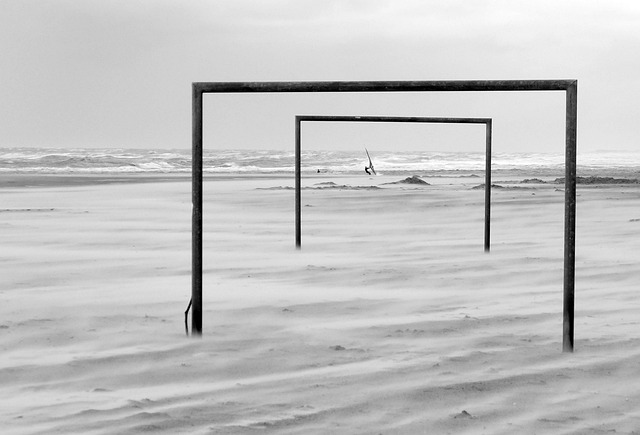 明星球员的 明星球员的