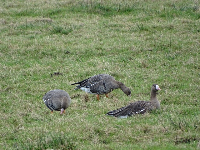 普尔在这场 普尔在这场