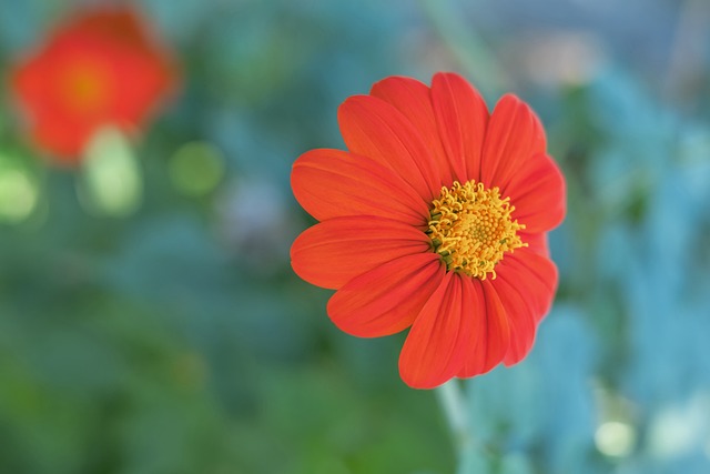 这些球员虽 这些球员虽