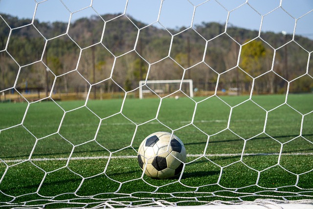 在本次澳网 在本次澳网