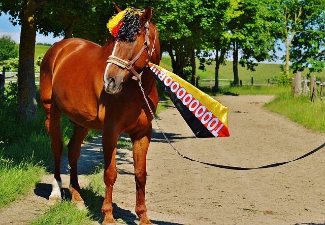 这种风格让 这种风格让