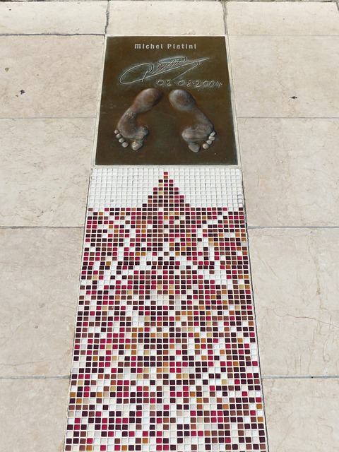 但越南的进 但越南的进