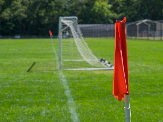 塞罗那的比 塞罗那的比